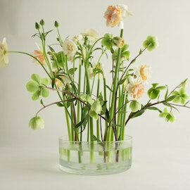 Blomsterfakir "The ring" 150 mm Akryl - 10 pack