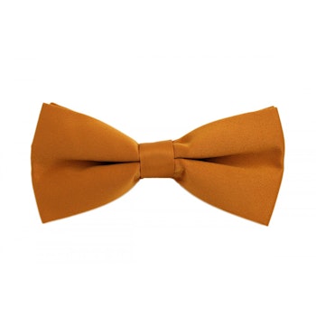 Kopia Kostymfluga orange/guld