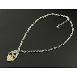 Vackert halsband med ett hjärta