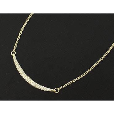 Exklusivt halsband guldigt