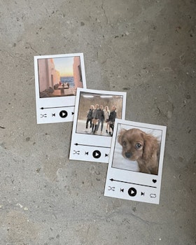 Spotify klistermärke
