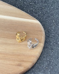 #313 - Ring