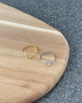 #338 - Ring