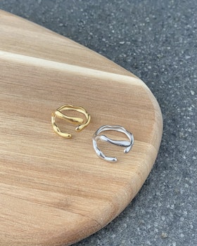 #347 - Ring