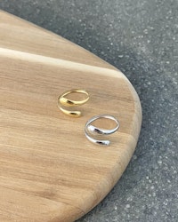 #385 - Ring
