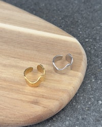 #413 - Ring