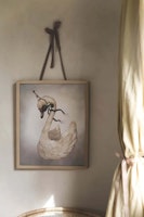 Mrs Mighetto Poster Svan Dear Swan 40 x 50 cm