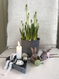 Liten Zinkkruka