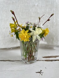 Tandborstmugg Glas