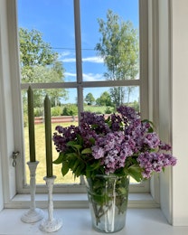 Glasvas/ ljuslykta kornformad