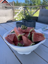 Stor Skål