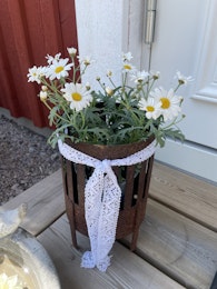 Marschallhållare