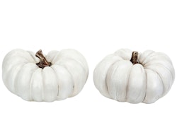 Pumpa Vit Mix 20cm