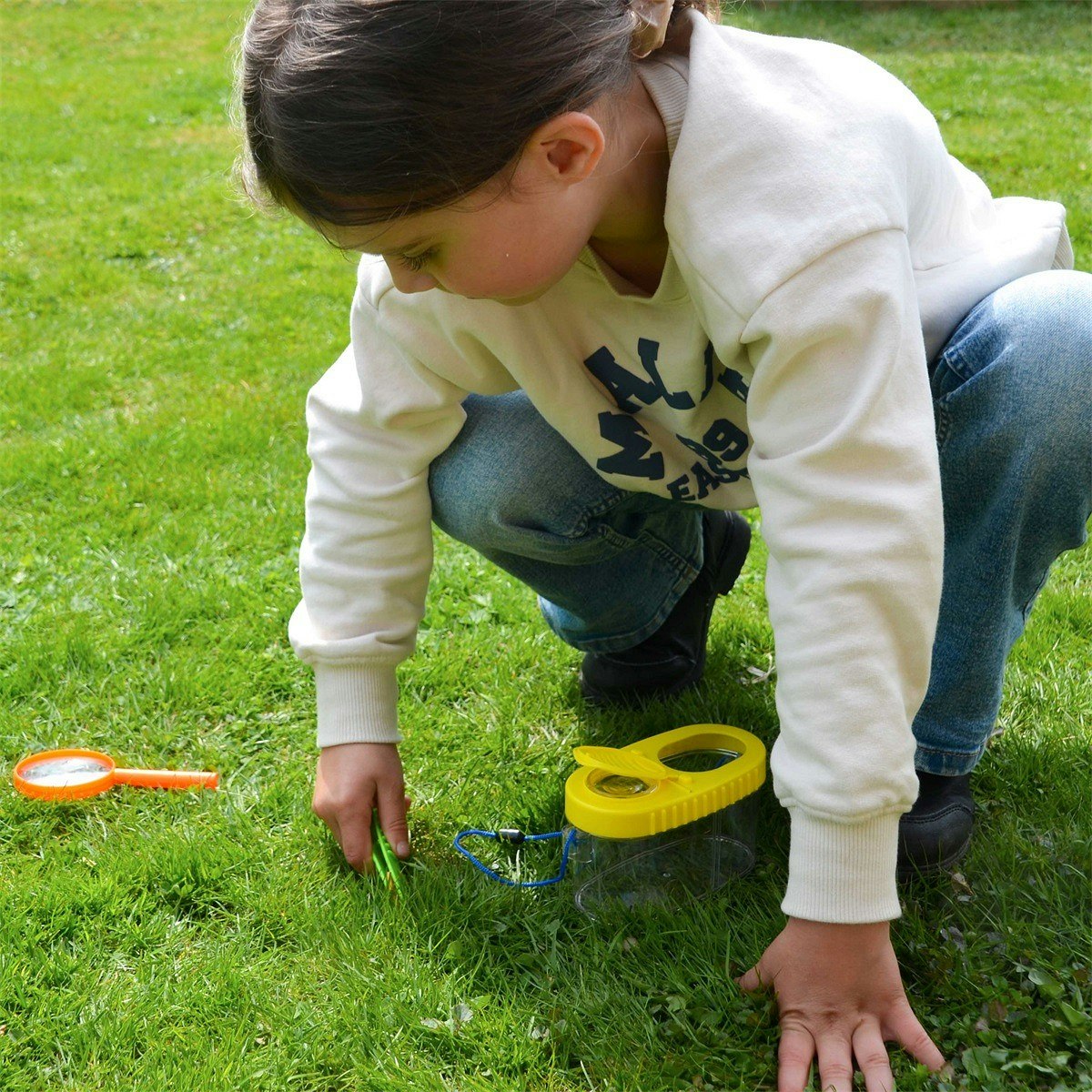 Förstoringsglas Insekter - 4 delar