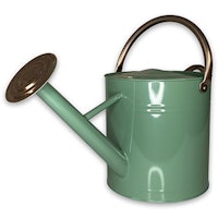 Vattenkanna grön