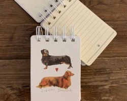 Debonair Dachshunds