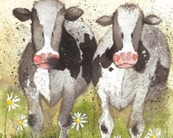 Curious Cows Tea Towel