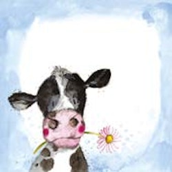 Sunshine Cow
