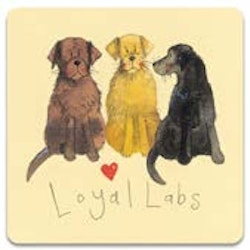 Loyal Labs