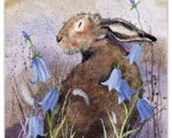 Hare & Harebells