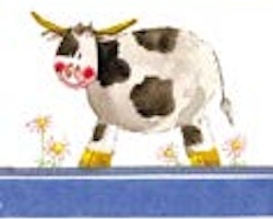 Dairy Cow