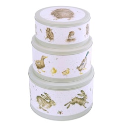 Cake Tin Small `What a Hoot`