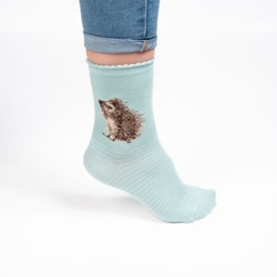 Socks `Hedgehugs`