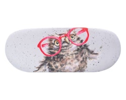 Glasses Cases `Spectacular`