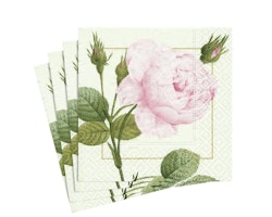 Redoute Rose Pink Napkins