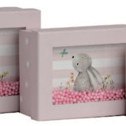 Daisy Window Gift Box