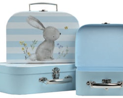 Louis Suitcase