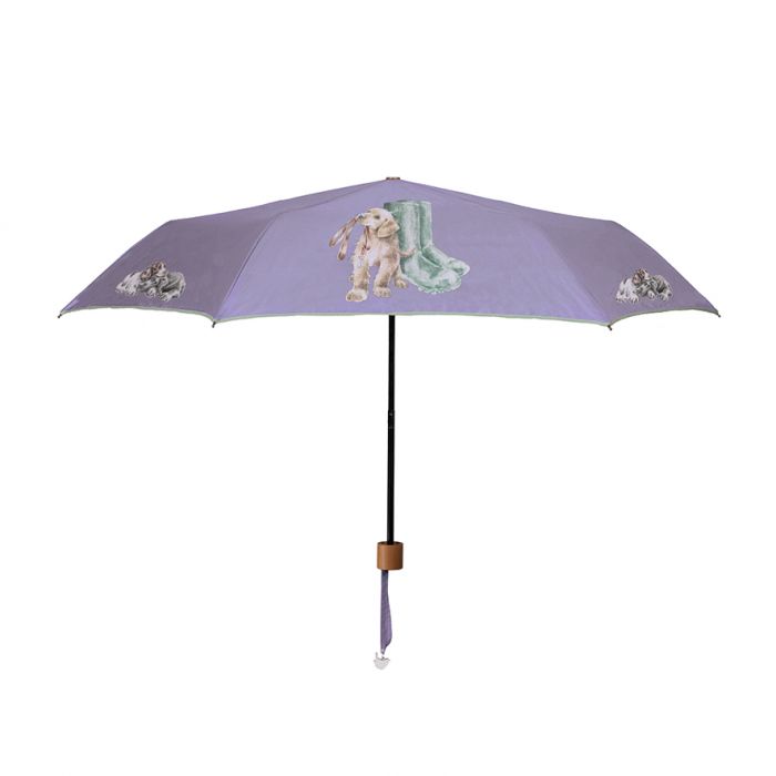 Umbrella Labrador