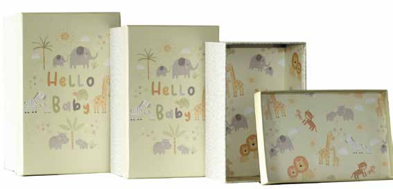 Hello Baby Gift Box