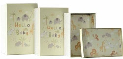 Hello Baby Gift Box
