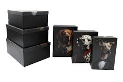Dog Animal Head Giftbox