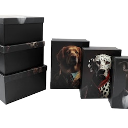 Dog Animal Head Giftbox