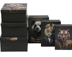 Wild Animal Head Giftbox
