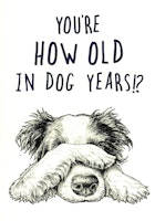 Kort Bewilderbeest `Dog Years`