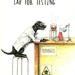 Kort Bewilderbeest `Lab Testing`