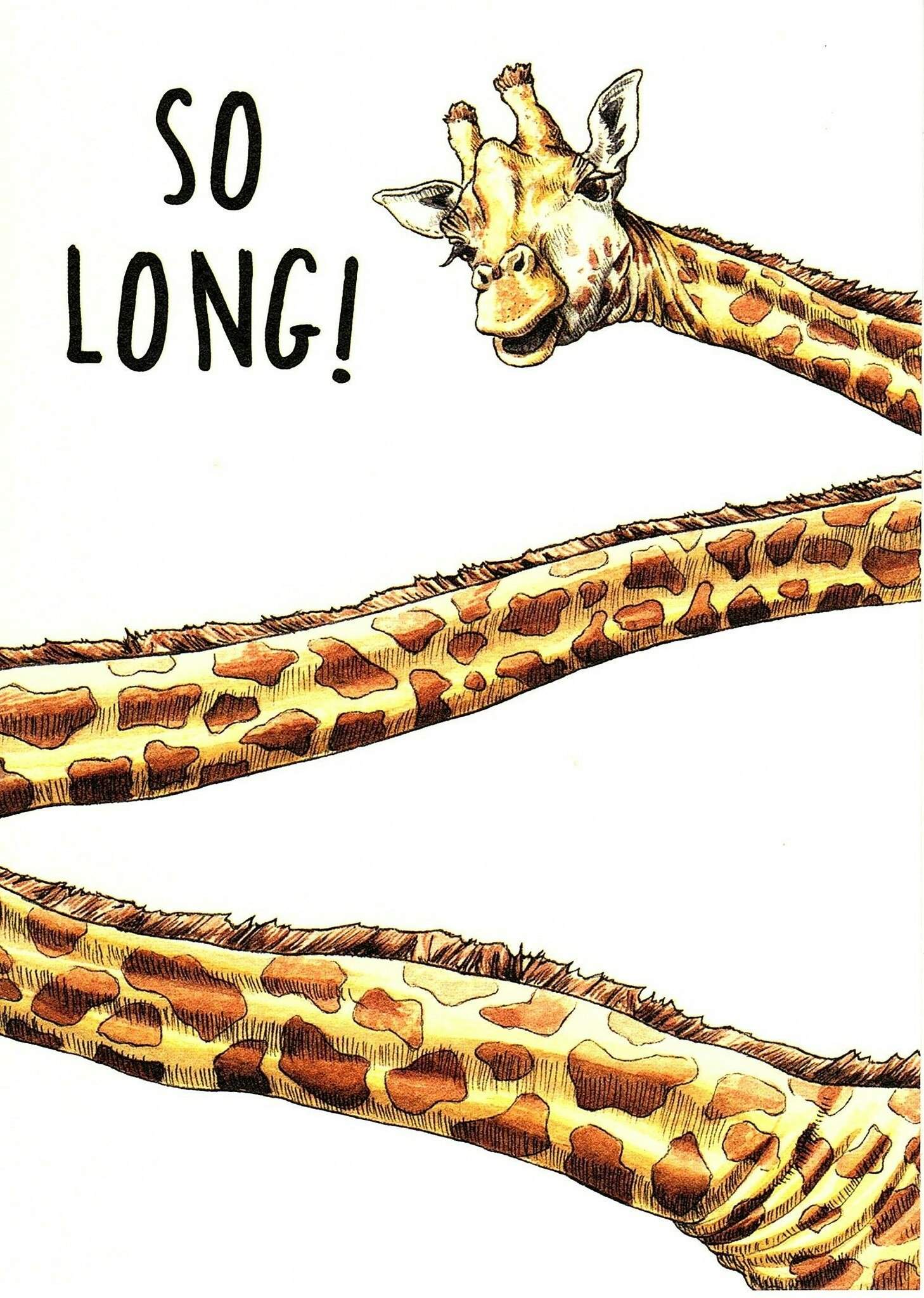 Kort Bewilderbeest `So Long Giraffe`