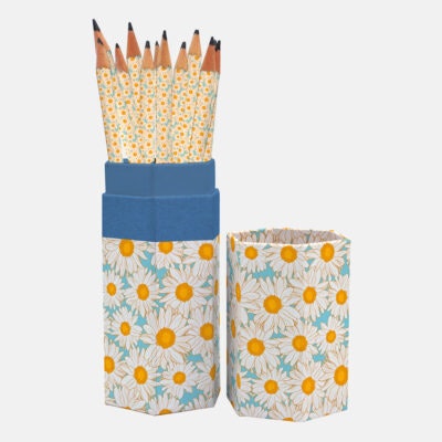 Hazy Daisies Pencil Set