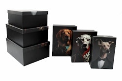 Giftboxes Dog