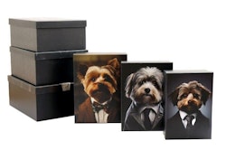 Giftboxes Fluffy Dogs