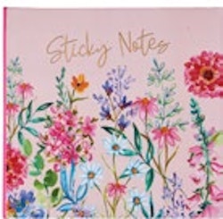 Aurora Sticky Notes and Pad