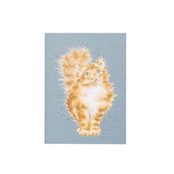 Notebook A6 Cat