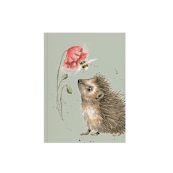 Notebook A6 Hedgehog
