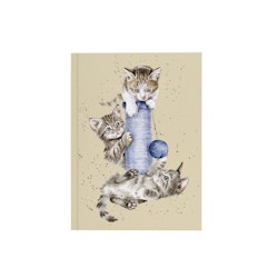 Notebook A6 Kittens