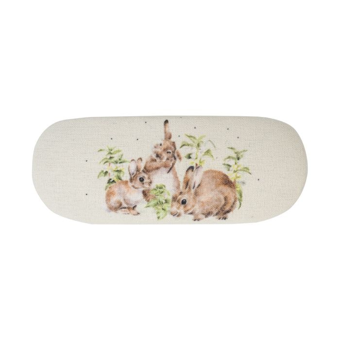 Glasses Cases Rabbit