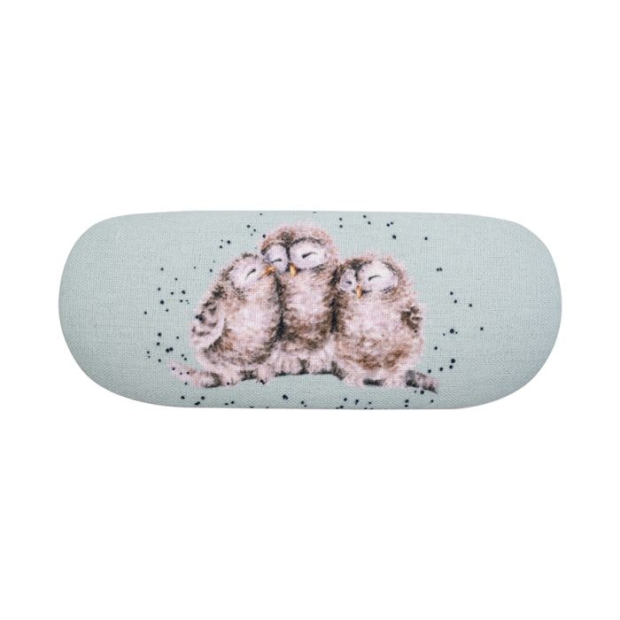 Glasses Cases Owl