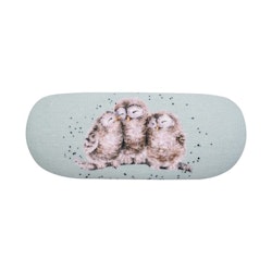 Glasses Cases Owl